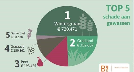 Top 5 schade aan gewassen